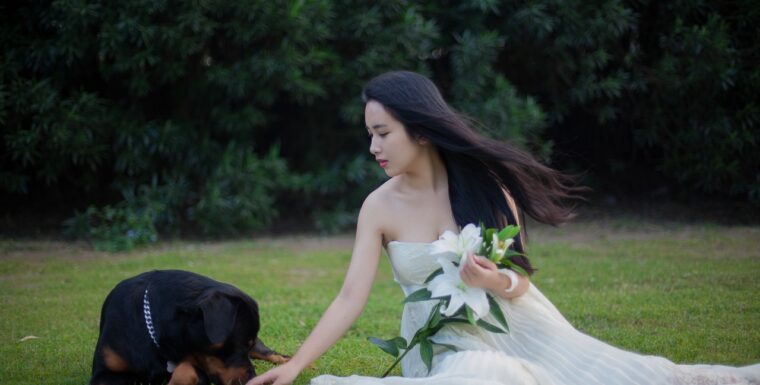 Responsive and Retina ready theme.